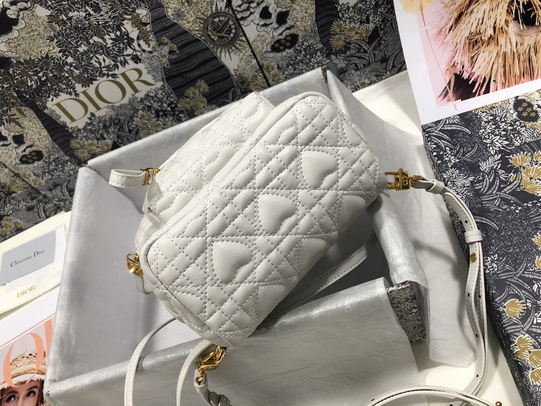 Dior Backpack