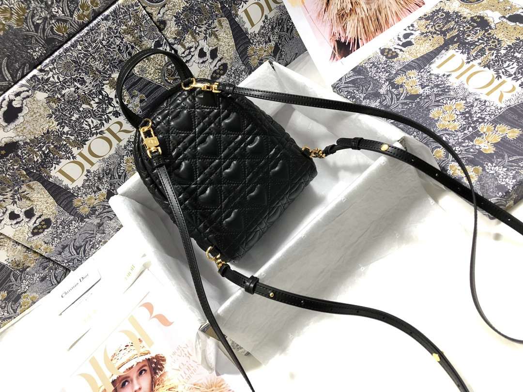 Dior Backpack