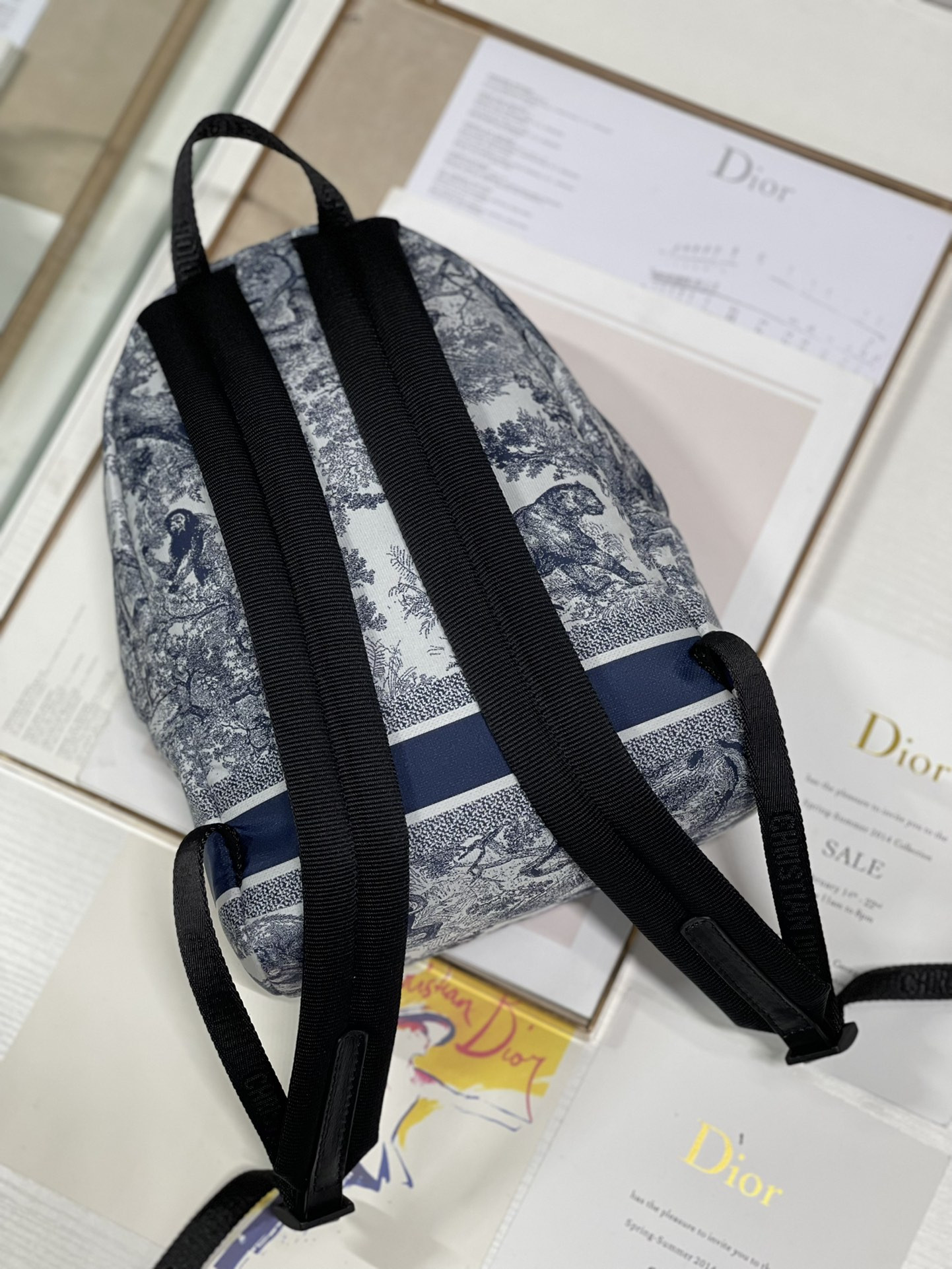Dior Backpack