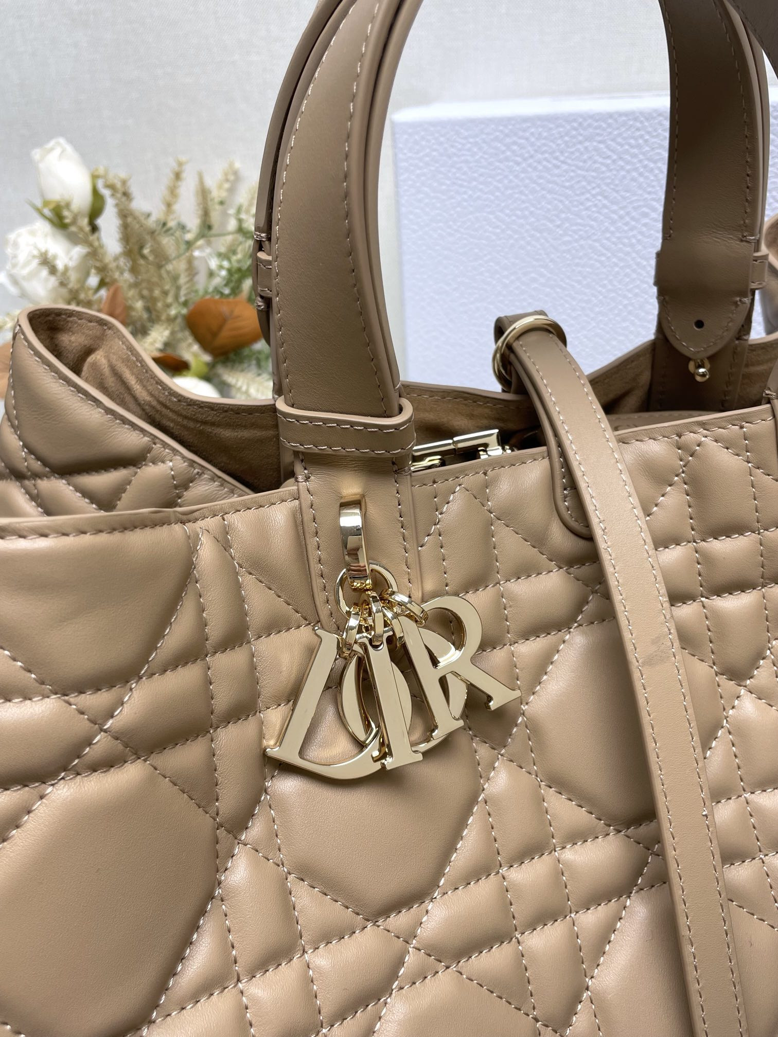 Dior Toujours Bag