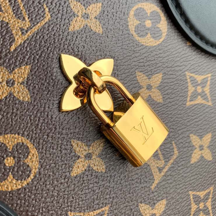 Louis Vuitton Flower Tote Bag