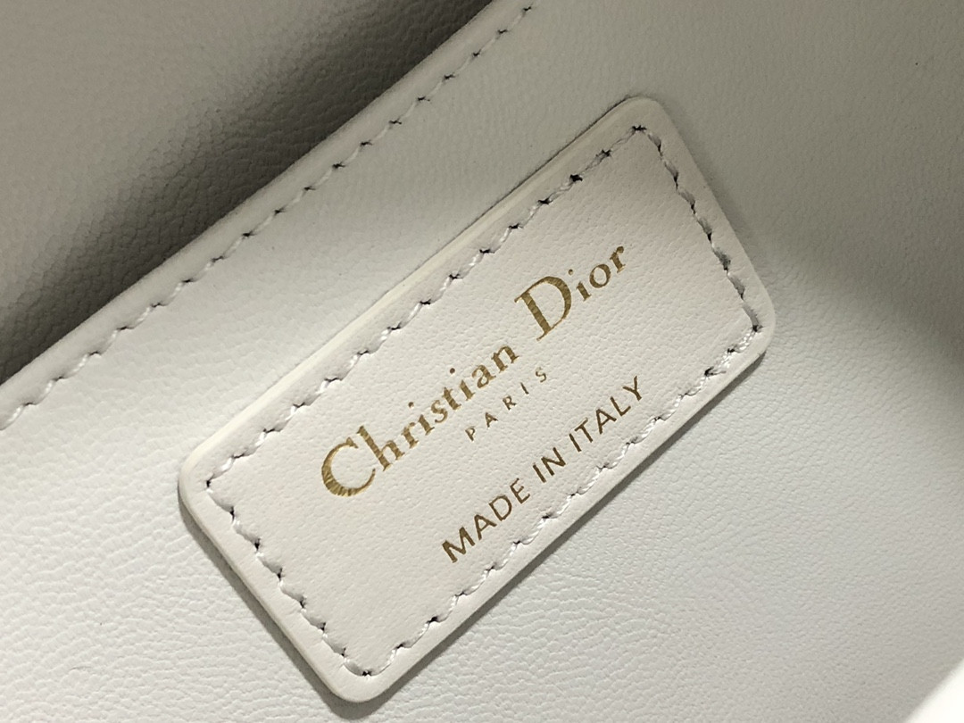 Dior Backpack