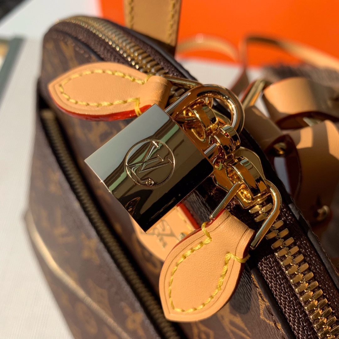 Louis Vuitton Moon Bag