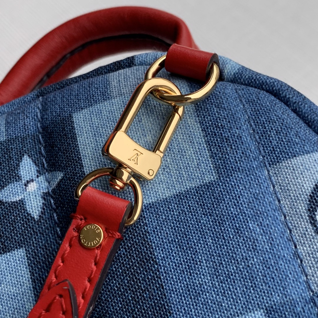 Louis Vuitton Palm Springs Bag