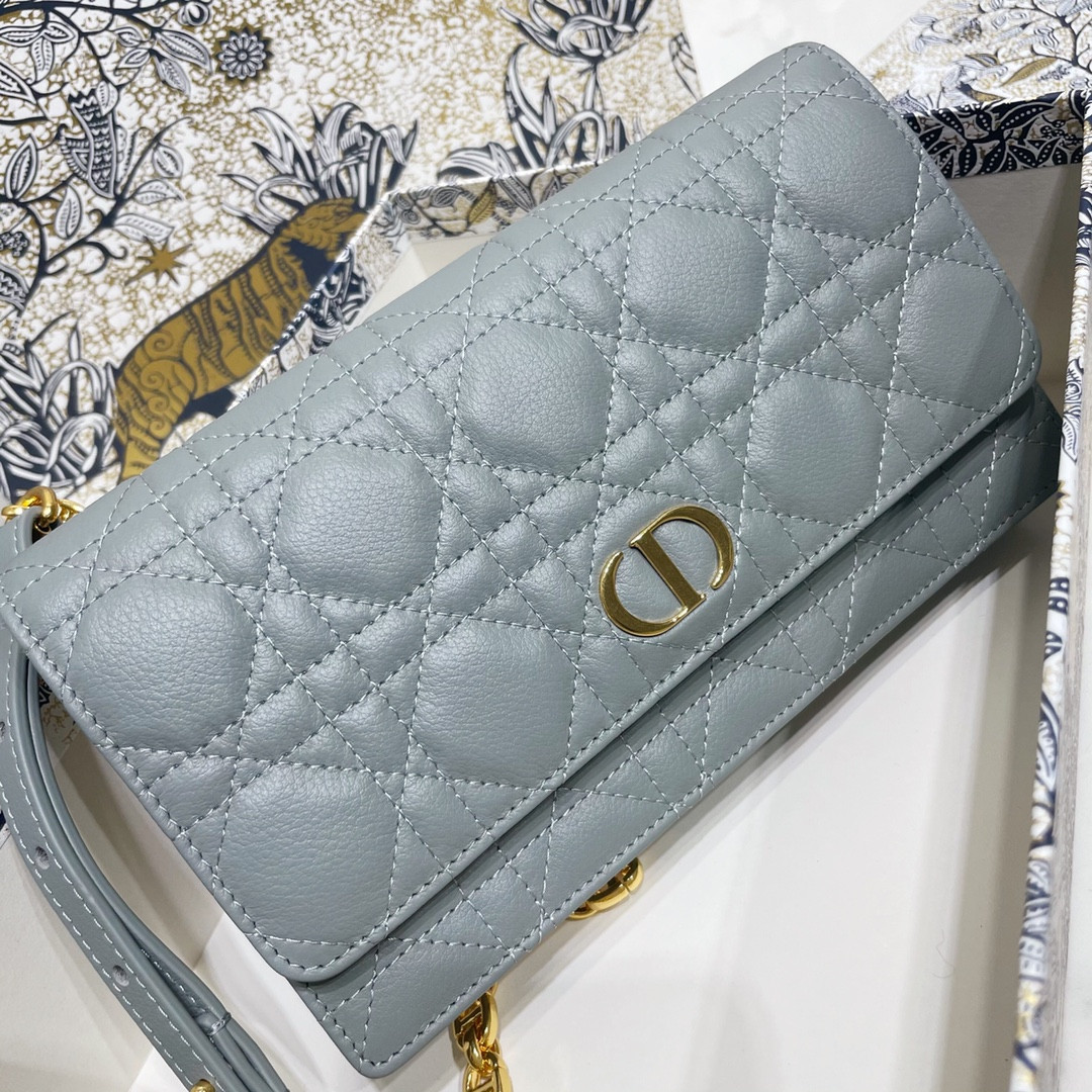 Dior Caro Pouch