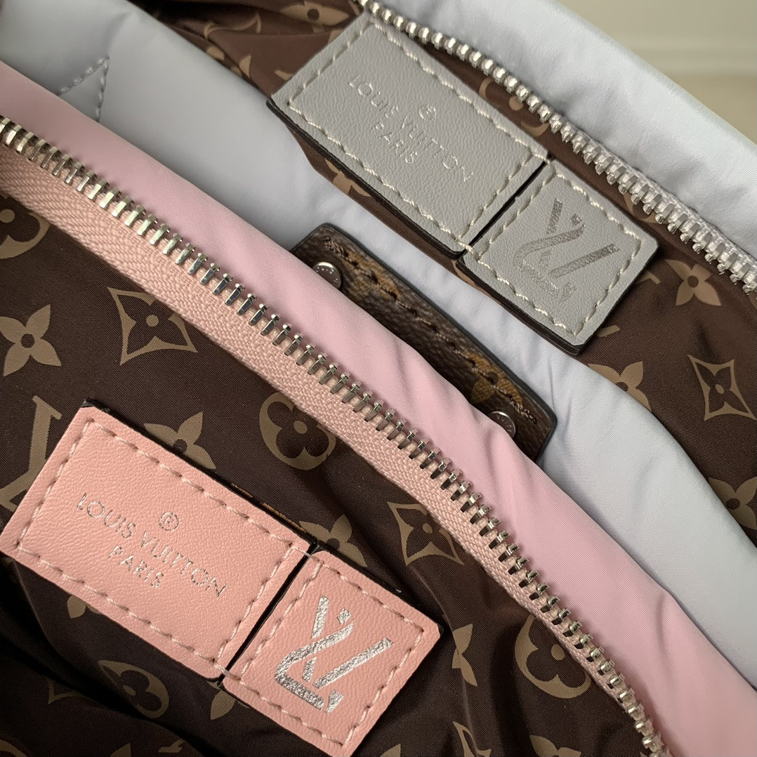 Louis Vuitton Maxi Multi Pochette Accessoires Bag